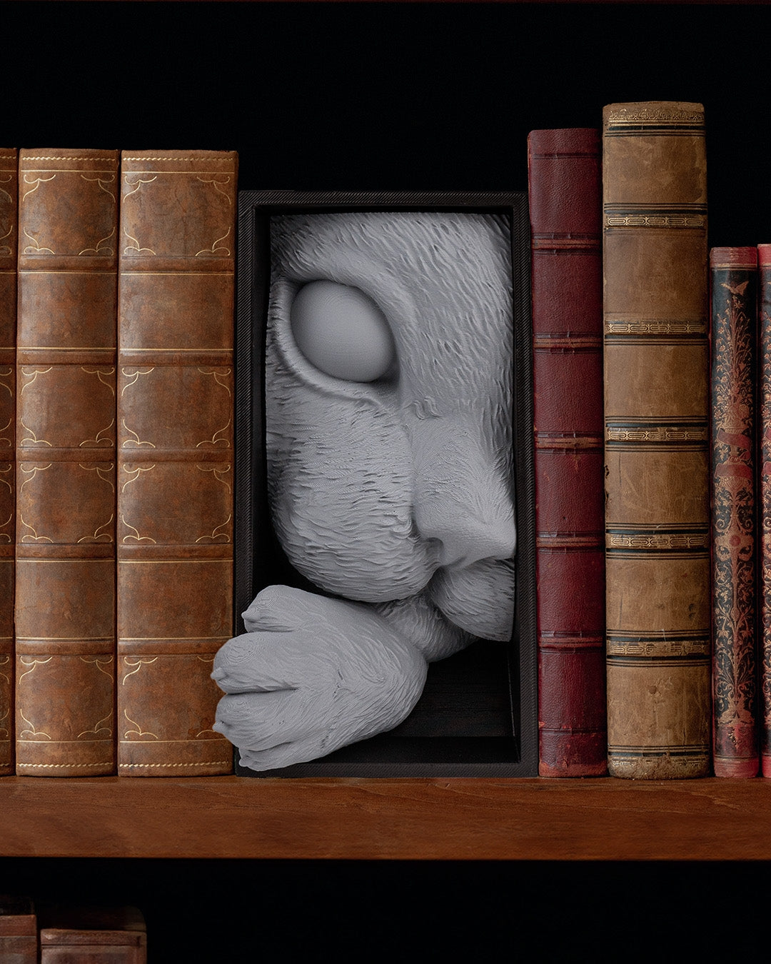 Cat’s Curiosity Book Nook
